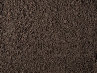 Screened Topsoil