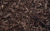 Brown Mulch
